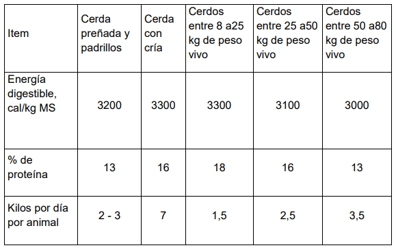 Recomendaciones para el manejo del ganado durante emergencia por inundación en el este del chaco - Image 24