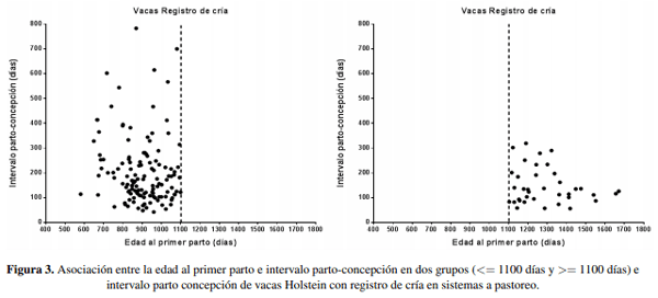 Edad al primer parto e indicadores de eficiencia en vacas lecheras con diferente potencialidad productividad en sistemas a pastoreo - Image 8