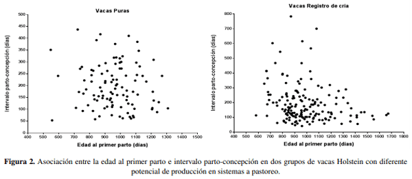 Edad al primer parto e indicadores de eficiencia en vacas lecheras con diferente potencialidad productividad en sistemas a pastoreo - Image 7