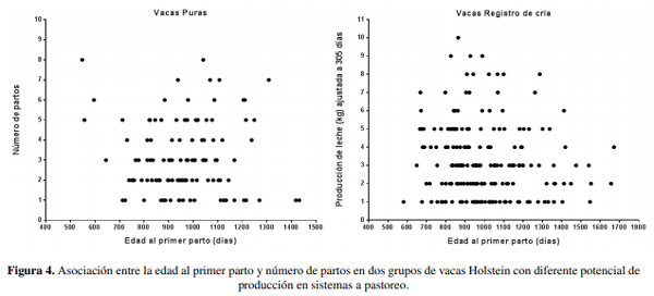 Edad al primer parto e indicadores de eficiencia en vacas lecheras con diferente potencialidad productividad en sistemas a pastoreo - Image 9
