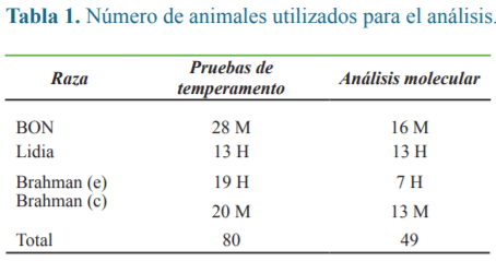 Polimorfismos del gen Dopamina beta hidroxilasa y su asociación con temperamento bovino - Image 1