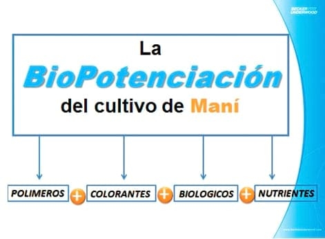 Biopotenciación en Maní - Image 11