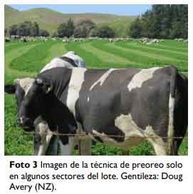 Brechas productivas en Alfalfa ¿Qué necesitamos para alcanzar el potencial? - Image 8