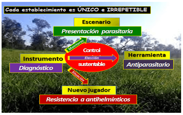Parasitosis de los vacunos: Hacia un diagnóstico y control de precisión - Image 7