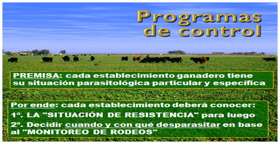 Parasitosis de los vacunos: Hacia un diagnóstico y control de precisión - Image 4