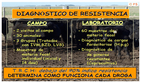 Parasitosis de los vacunos: Hacia un diagnóstico y control de precisión - Image 5