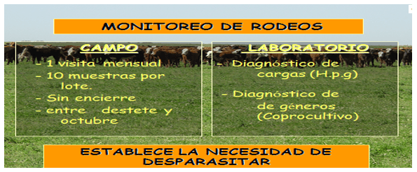 Parasitosis de los vacunos: Hacia un diagnóstico y control de precisión - Image 6