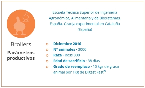 Prueba de eficacia de un biosurfactante para dieta de broilers - Image 1