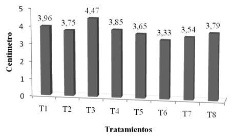 Enraizamiento de Stevia (Stevia rebaudiana) con cuatro tipos de estacas en dos tipos de sustratos - Image 4