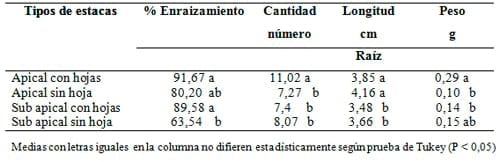 Enraizamiento de Stevia (Stevia rebaudiana) con cuatro tipos de estacas en dos tipos de sustratos - Image 6