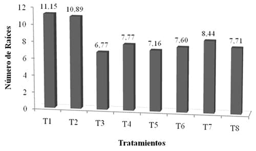 Enraizamiento de Stevia (Stevia rebaudiana) con cuatro tipos de estacas en dos tipos de sustratos - Image 3