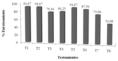 Enraizamiento de Stevia (Stevia rebaudiana) con cuatro tipos de estacas en dos tipos de sustratos - Image 2
