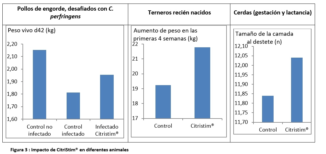 CitriStim, un ingrediente novedoso levadura Pichia guilliermondii - Image 3