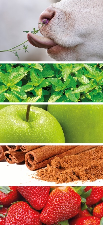 Atrayentes alimentarios: atraer el sabor - Image 1