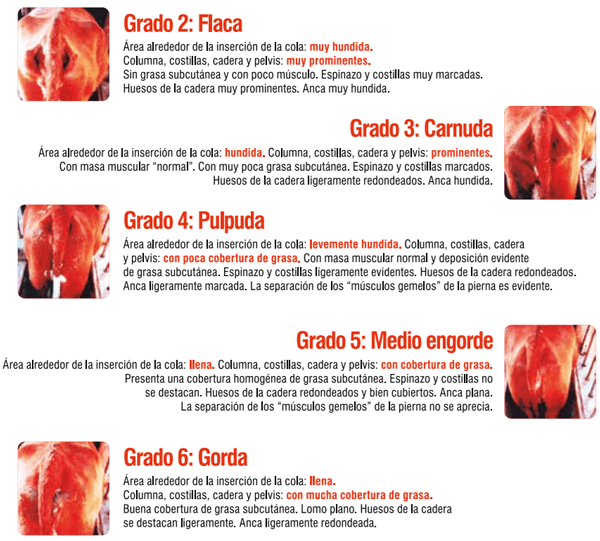 Guía de recomendaciones para los meses postsequía - Image 31