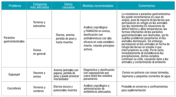Guía de recomendaciones para los meses postsequía - Image 30