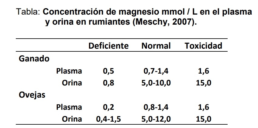 Magnesio y fósoforo: minerales clave en la nutrición del ganado - Image 1