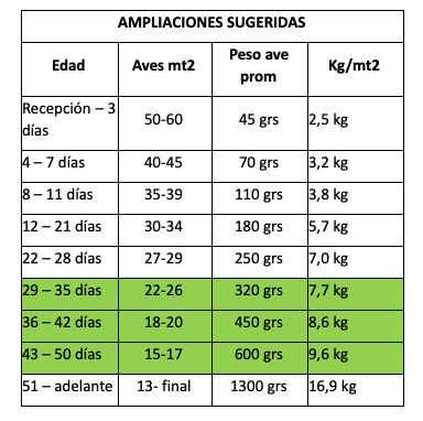Manejo técnico de gallinas ponedoras: 10 Recomendaciones para el levante - Image 5