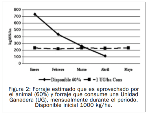 Aspectos de Manejo en Situaciones Críticas de Forraje - Image 5