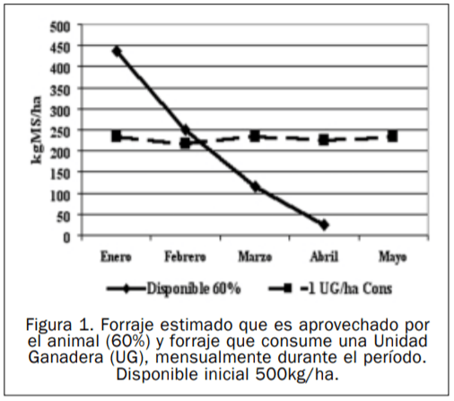 Aspectos de Manejo en Situaciones Críticas de Forraje - Image 3