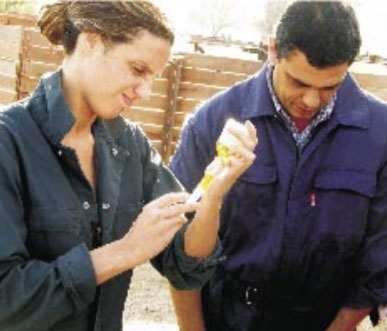 Problemas Sanitarios más Frecuentes que Pueden Aparecer Luego de una Sequía - Image 3