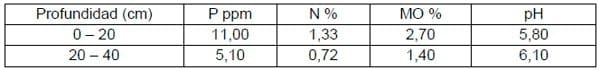Ensayo comparativo de rendimiento de forraje de cultivares de festuca alta - Image 1