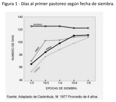 Criterios para rehacer las rotaciones forrajeras: Siembras tardías en invierno - Image 1