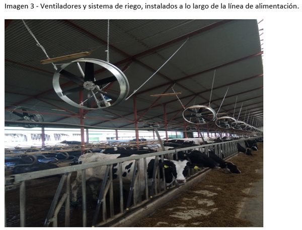 La implementación de un sistema de enfriamiento intensivo en una granja lechera a gran escala en el sur de Rusia - Image 6