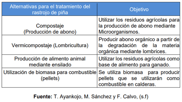  Manejo de la biomasa del cultivo de piña - Image 6