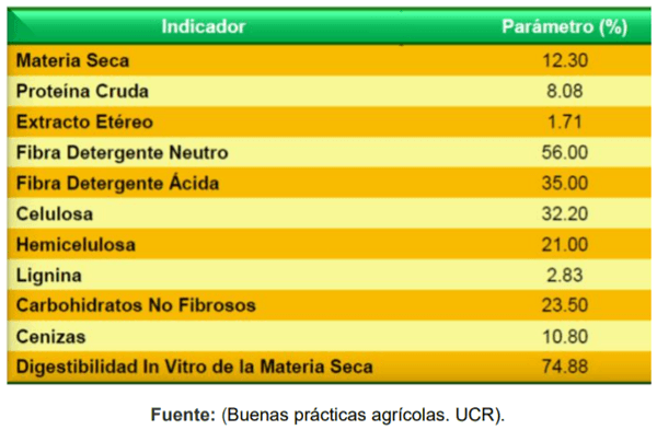  Manejo de la biomasa del cultivo de piña - Image 7
