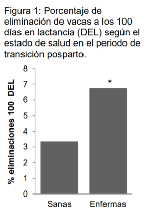 ¿Las enfermedades del periodo de transición son un factor de riesgo para eliminar tempranamente una vaca del rebaño? - Image 1
