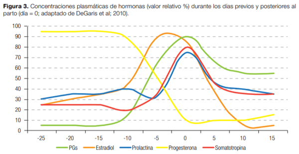 Periodo de transición: Importancia en la salud y bienestar de vacas lecheras - Image 3