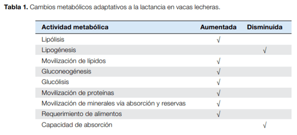 Periodo de transición: Importancia en la salud y bienestar de vacas lecheras - Image 4