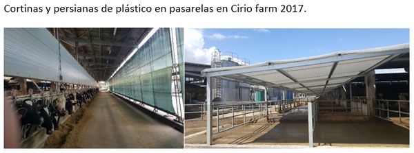 Dos años de experiencia en enfriamiento de vacas en Italia - Image 5