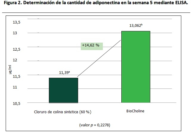 Una alternativa a la administración de colina sintética en broilers - Image 4