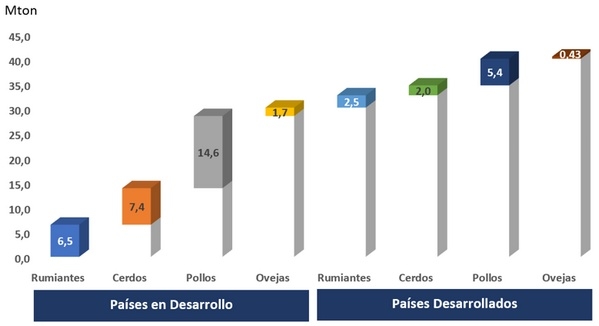 Miopatías en pollos y uso de enzimas exógenas - Image 1
