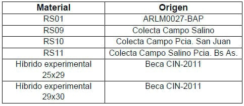 Caracterización de cuatro poblaciones y dos híbridos de raigrás anual diploide - Image 1
