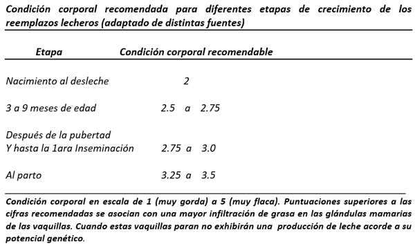 No deje a sus becerras con hambre de leche o sustituto de leche: Piense en que se está manufacturando la ubre del futuro. - Image 5