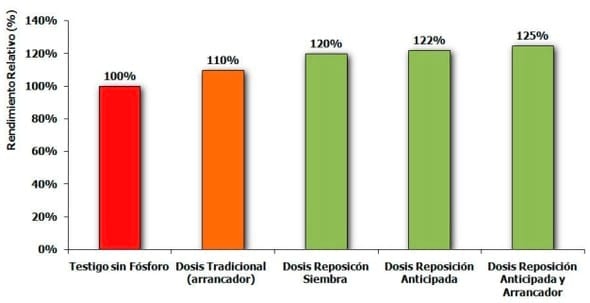 Pérdida de rendimientos por no fertilizar la soja correctamente - Image 2