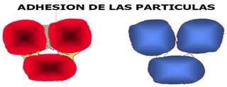 Efectos de la peletizacion en aves y cerdos - Image 11