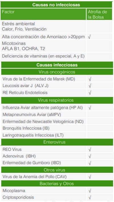 Inmunosupresión (IS) e Inmunodeficiencia (ID) - Image 1