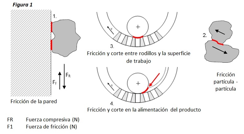 La importancia del tamaño de partícula durante el proceso de peletizado - Image 1