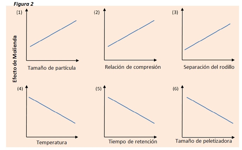 La importancia del tamaño de partícula durante el proceso de peletizado - Image 2