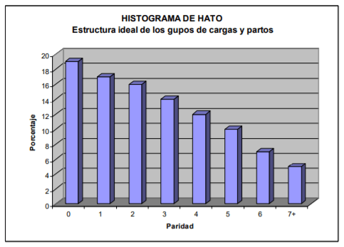 Importancia del manejo de la hembra de reemplazo - Image 2