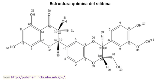 COVID-19: desencadena un “síndrome de tormenta de citoquinas” que es letal - Image 6