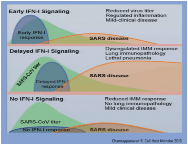 COVID-19: desencadena un “síndrome de tormenta de citoquinas” que es letal - Image 4