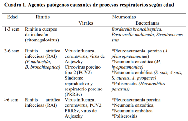  Buenas Prácticas de Producción Porcina: Sanidad animal - Image 1
