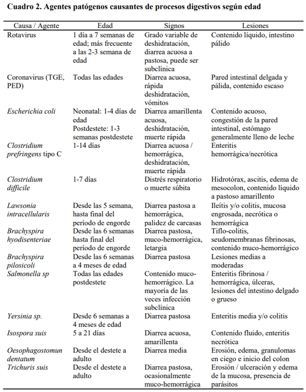  Buenas Prácticas de Producción Porcina: Sanidad animal - Image 2