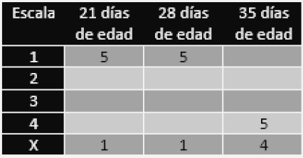 Evaluación del uso de una vacuna doble recombinante HVT NDV IBDV en pollos de engorde en condiciones de campo - Image 6