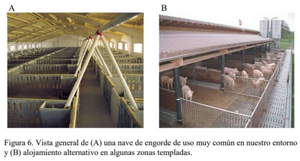 Instalaciones para porcinos - Image 6